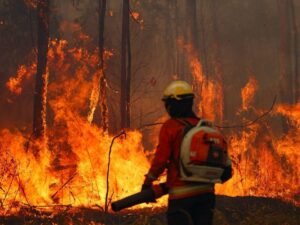 Brigadas rurales contra incendios: refuerzo clave para Guerrero