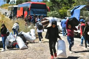 Más de 13 mil jornaleros de la Montaña migraron en 2025 a campos agrícolas del norte del país