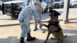 Guardia Nacional nombra a niño como Guardia Honorario por un Día