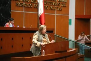 Beatriz Vélez propone fortalecer detección de displasia de cadera y regular salud digital en Guerrero