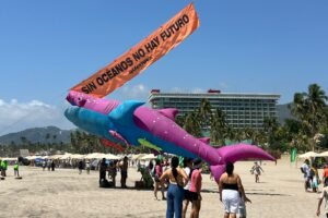 Greenpeace eleva papalotes en Acapulco para llamar a la acción climática