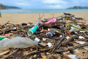 Retiran 12 toneladas de basura de playas de Acapulco tras lluvias y fuertes vientos