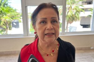Piden estudio vial antes de aplicar multas por estacionamiento en Acapulco