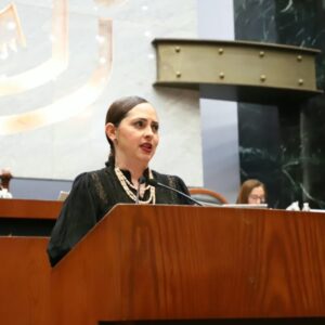 Congreso alerta por rezago en salud mental y demanda atención para grupos vulnerables