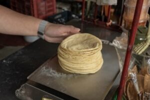 Mantendrán sin cambios el precio de la tortilla pese a caída de 60% en maíz en Guerrero