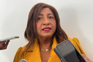 Leticia Lozano llama a esperar definición de Morena en Acapulco